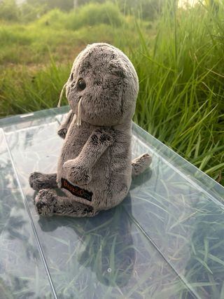 Gato Peluche Basik&Co