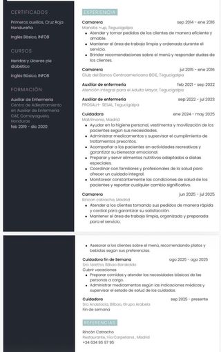 Cuidadora - Limpieza- repartidora