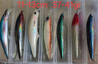 Señuelos de Pesca 11-13cm
Precio por unidad