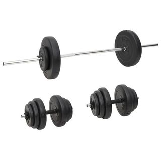 vidaXL Juego de barras y mancuernas con discos 