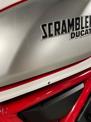 Ducati Scrambler Desert Sled