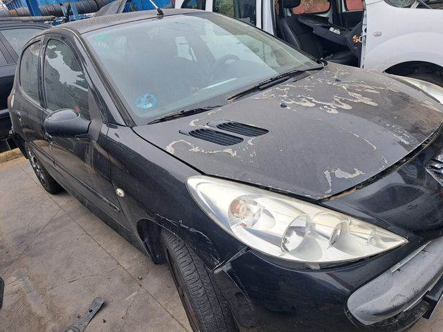 Despiece completo Peugeot 206 plus