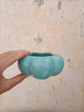 Set Mini Vasi Pianta Grassa