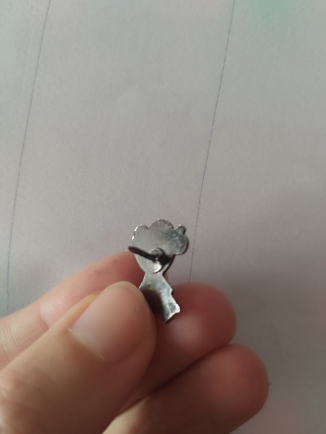 Pin Camino Santiago - Año Xacobeo