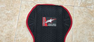 Espaldera Alpinestars Tech Race