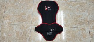 Espaldera Alpinestars Tech Race