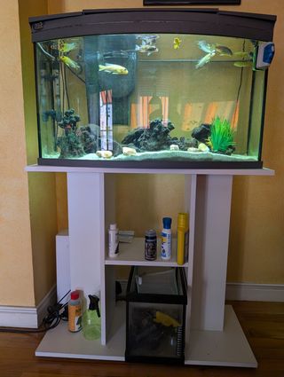 Acuario curvo 100L + mueble
