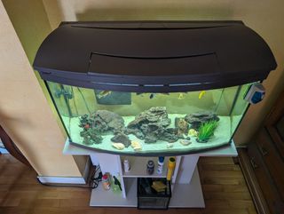 Acuario curvo 100L + mueble