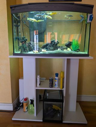 Acuario curvo 100L + mueble