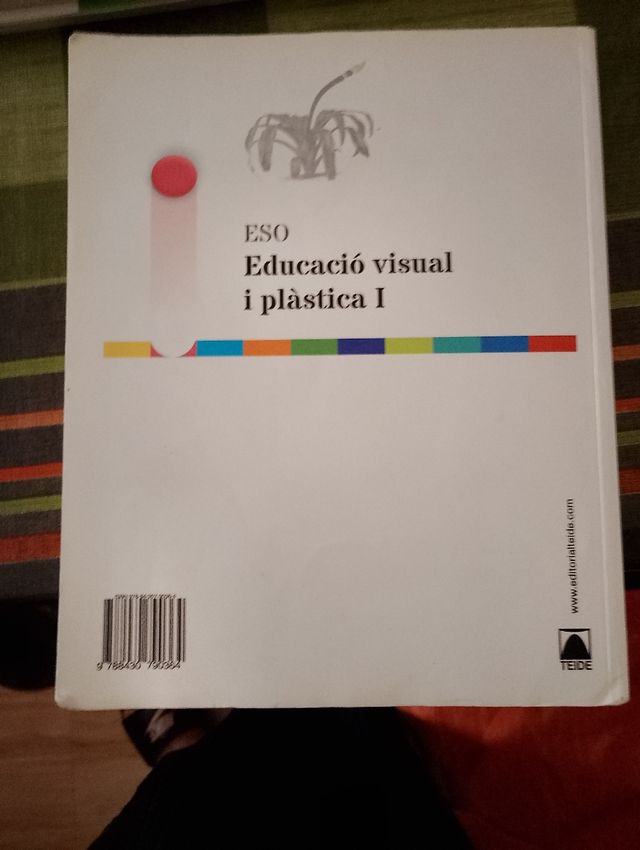 Educació visual i plàstica I ESO
