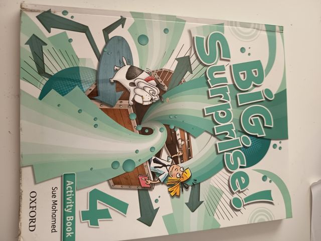 Big Surprise! 4. Activity Book 