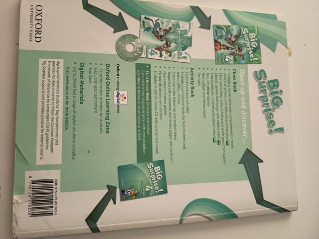 Big Surprise! 4. Activity Book 