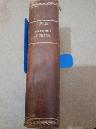 Tratado de anatomía humana