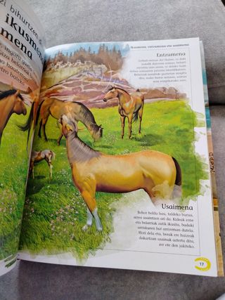 Zaldien entziklopedia
