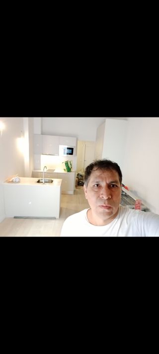 Pintor profesional, pintamos  pisos chalets.