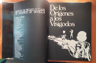 Historia de Andalucía. 1