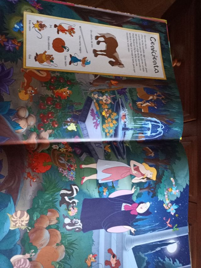 Princesas. ¿Dónde está? (Disney. Princesas)