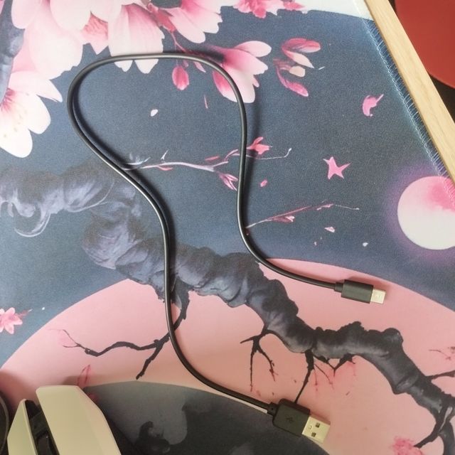 Rato GX Trust branco