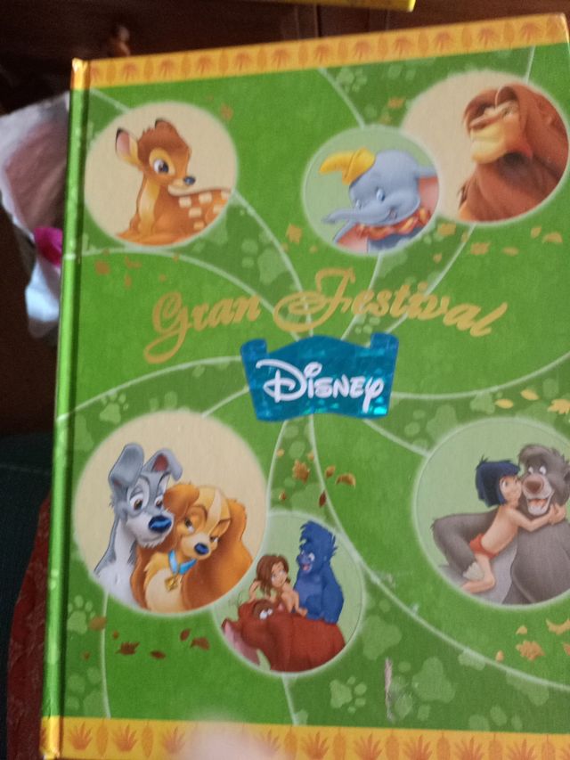 Gran festival disney