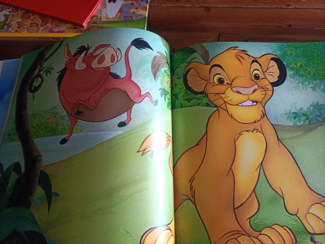 Gran festival disney