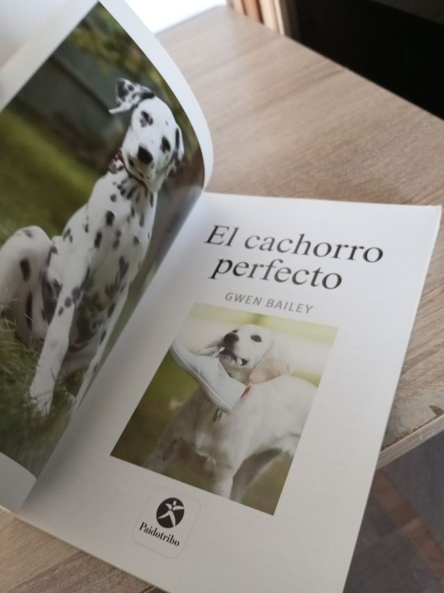 Cachorro perfecto, El (Color)