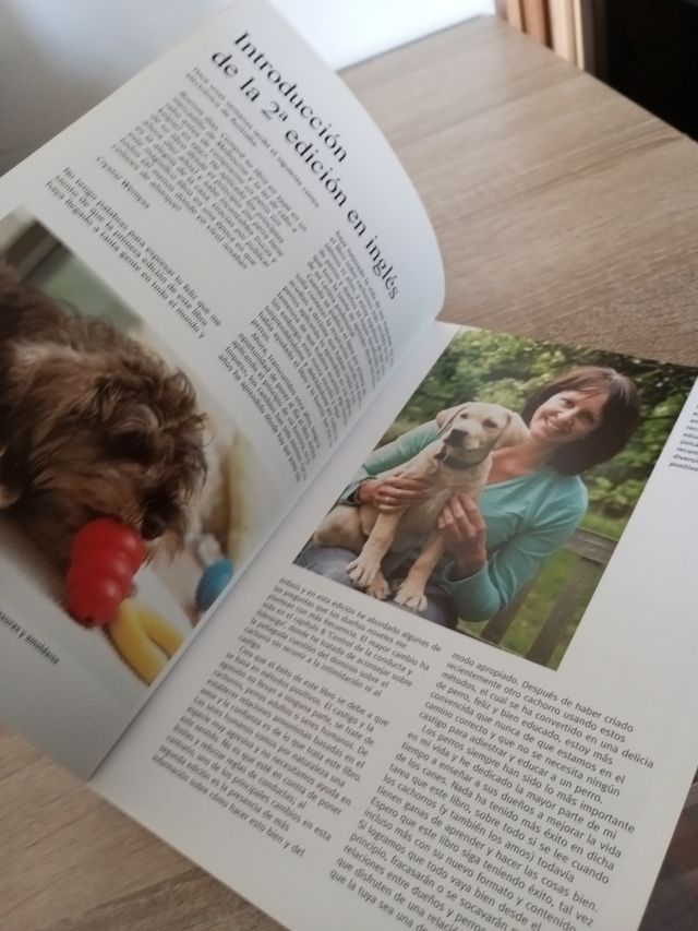 Cachorro perfecto, El (Color)
