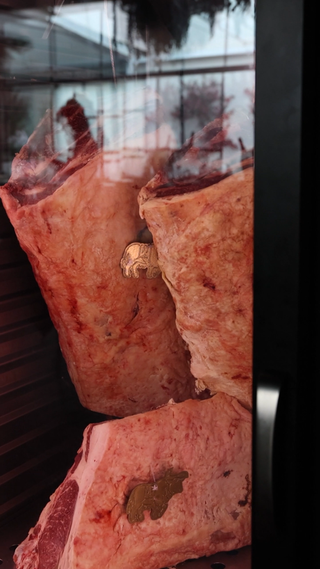 Cámara maduración carne