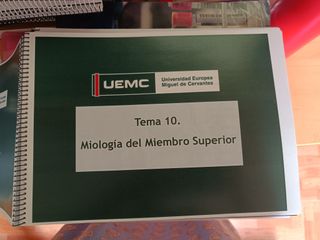 Anatomía funcional del Grado de CAFYD.UEMC