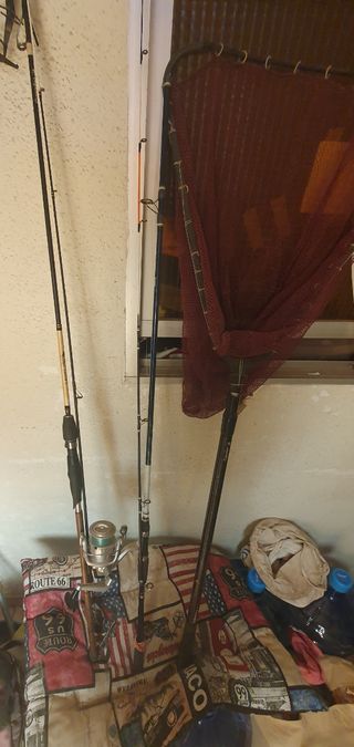 Pack de cañas de pescar