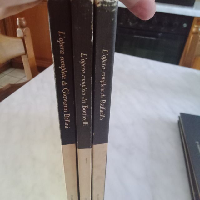 Classici  Rizzoli.Bellini,Raffaello, Botticelli