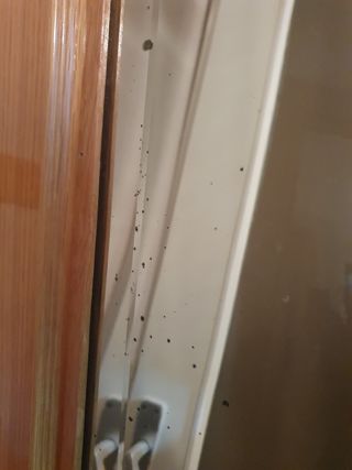 Oferta!!! 100€!! 4 Puertas de interior de madera