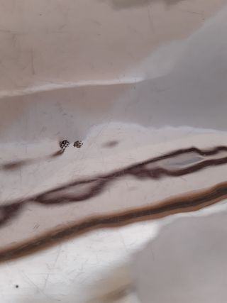 Jarrón/Centro de mesa plata 925. LEER DESCRIPCIÓN.