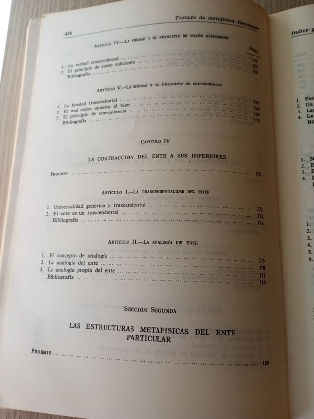 Tratado metafisica vol. 1: ontologia: Ontología...