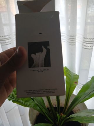 Colonia Zara - Perfume Mujer