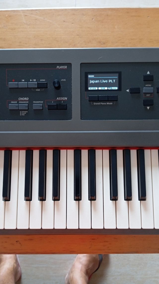 Piano de escenario Dexibell VIVO S7