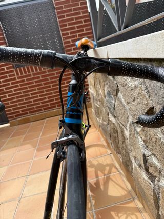 Bicicleta Carretera Fuji Carbono