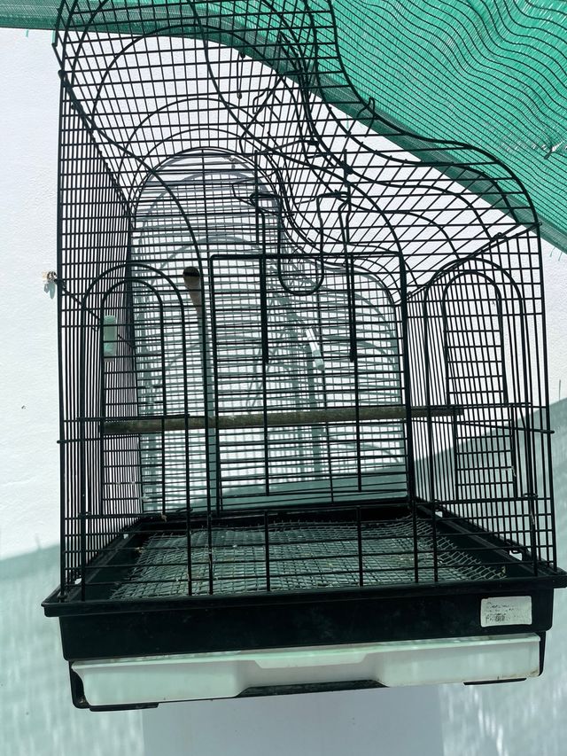 Jaula pajaros negra