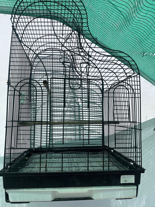 Jaula pajaros negra