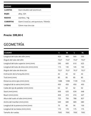 Bicicleta Giant Roam Disc 4
