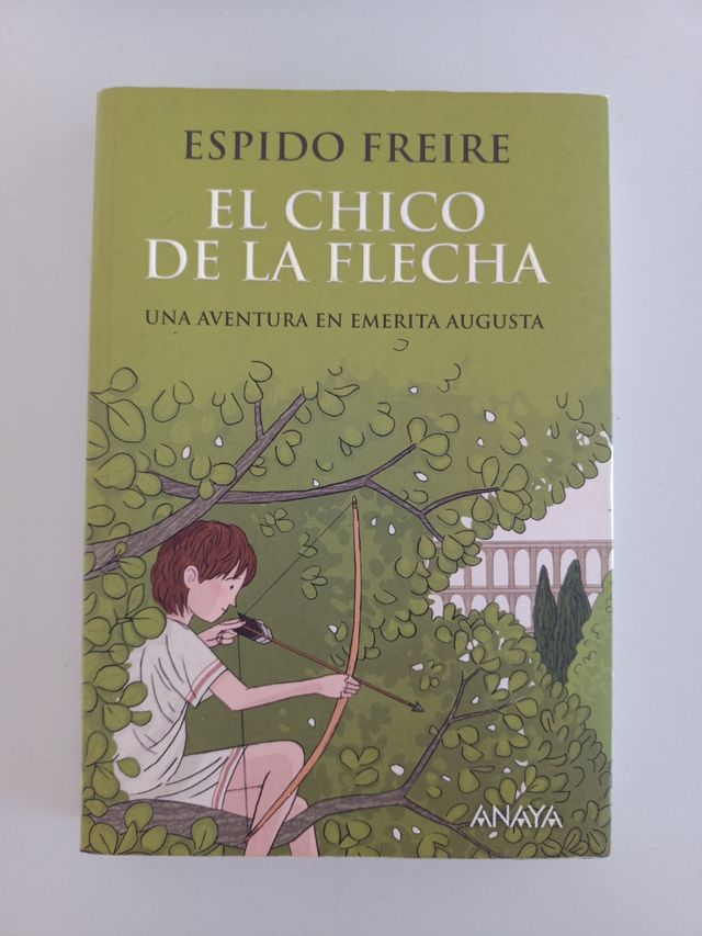 El chico de la flecha (Spanish Edition)