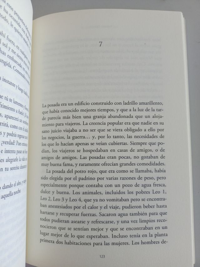 El chico de la flecha (Spanish Edition)