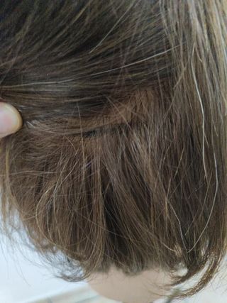 Maniquí cabeza peluquería castaño