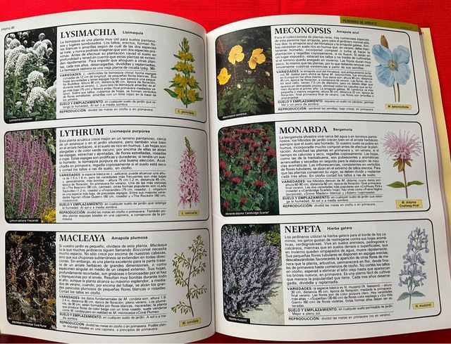 Libro Flores de Jardín - Manual de cultivo