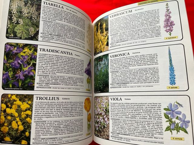 Libro Flores de Jardín - Manual de cultivo