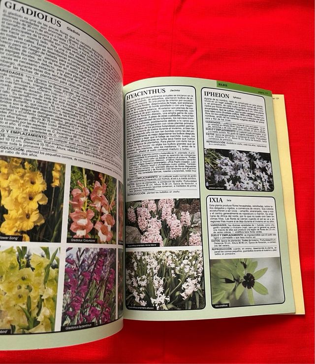 Libro Flores de Jardín - Manual de cultivo