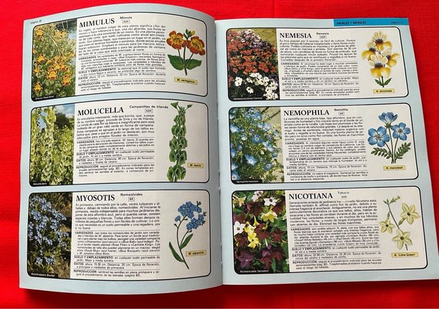 Libro Flores de Jardín - Manual de cultivo