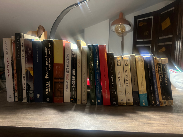 Lote de 25 Libros de Ficción – Thriller, Misterio