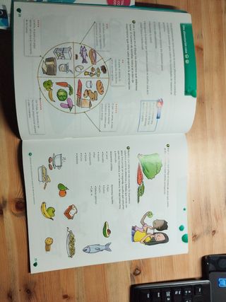 Educación Física 4º Primaria