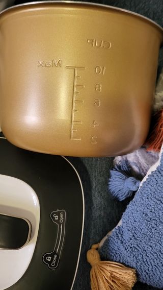 Olla a presión Aigostar Panda 5,5L