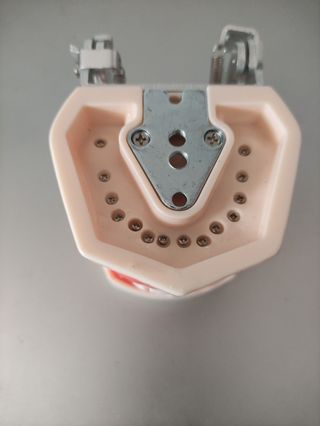 Typodont 32 dientes, modelo de dientes